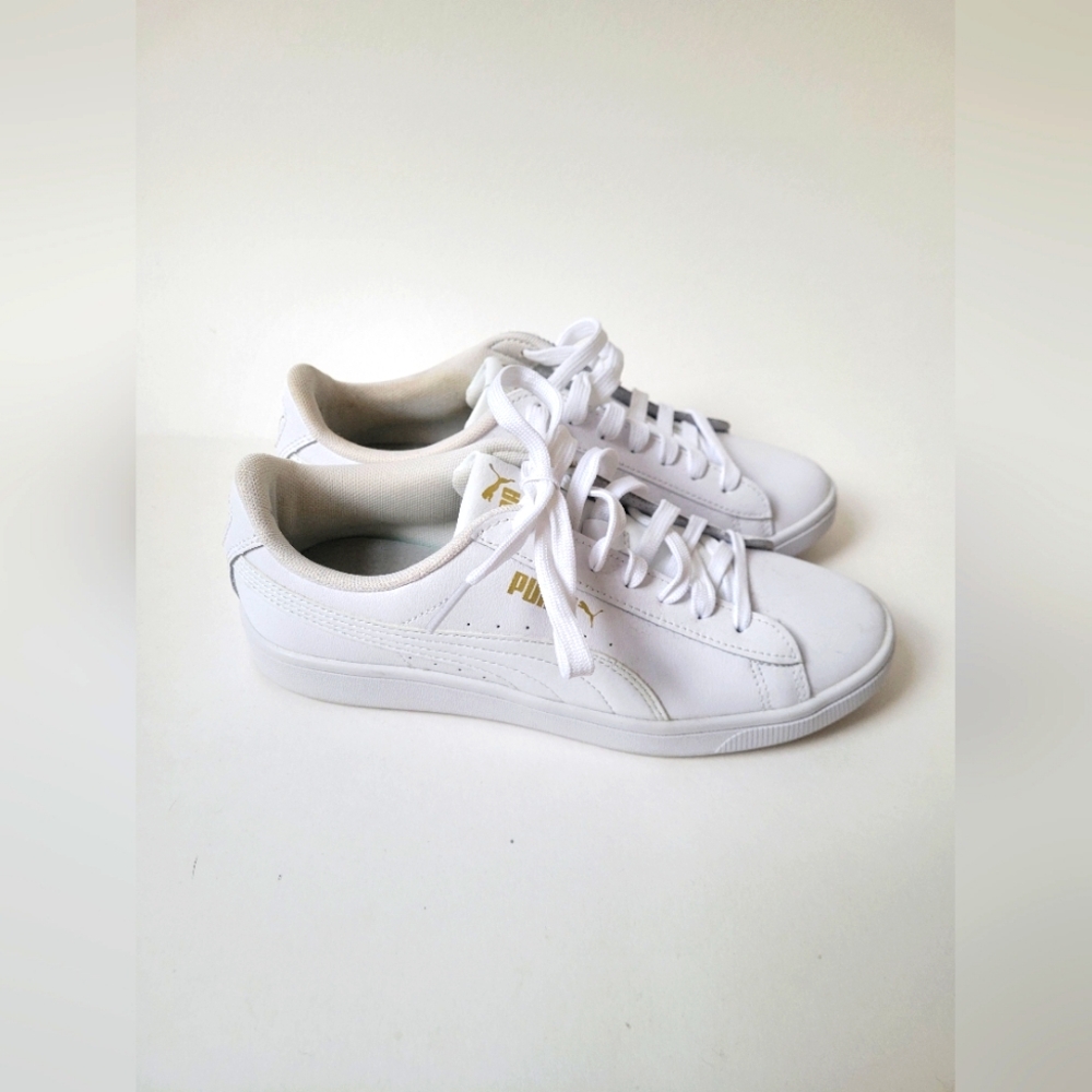 Pumas